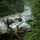 _dsc8613.jpg