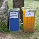 img_1353.jpg